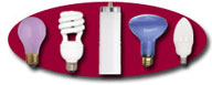 We have the Largest Selection Of FULL SPECTRUM Lamps On The Internet! Click For More Details!