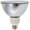 Electronic Compact Fluorescent PAR Lamp