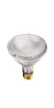 15 Watt Par30 Reflector 27K - Prolume